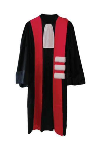 Robe – Maître de Conférences de Médecine et Pharmacie – Groseille