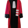 Robe de professeur de médecine et pharmacie