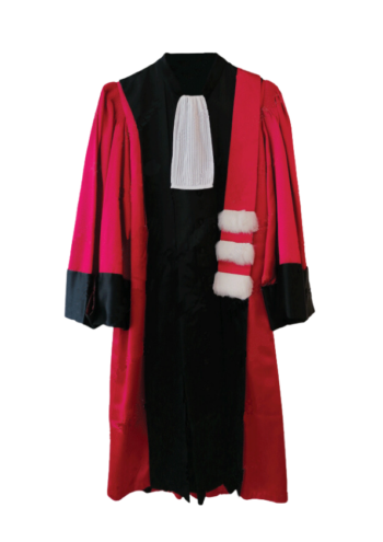 Robe de professeur de médecine et pharmacie