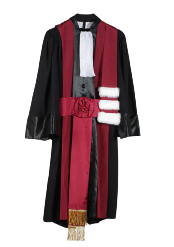 robe maitre de conférence sciences