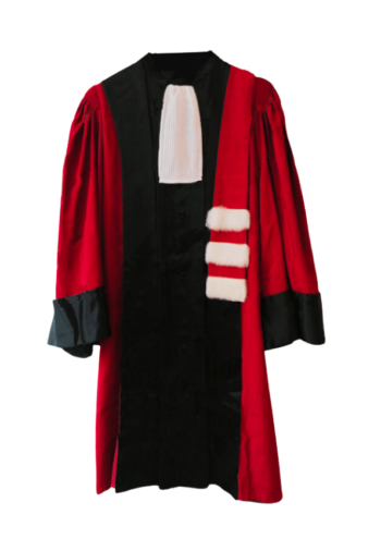 Robe – Professeur de Sciences – Amarante