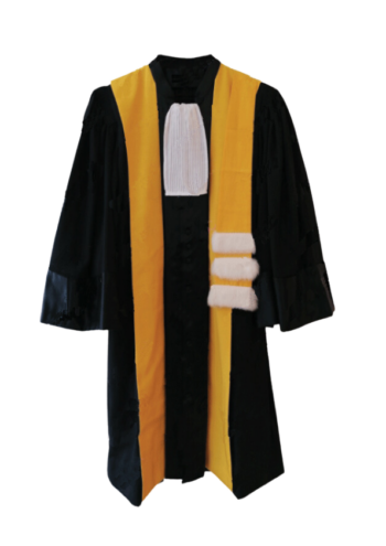 Robe de maitres de conférences de lettres et sciences humaines