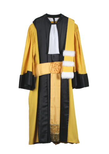 Dress – Professor of Letters and Human Sciences – Daffodil